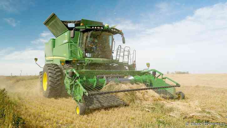 Alberta crops down 37 per cent in 2021 but quality above 5-year average