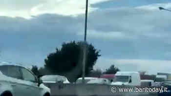 Incidente sulla statale 16 a Bari: tamponamento tra auto, code in direzione sud - BariToday
