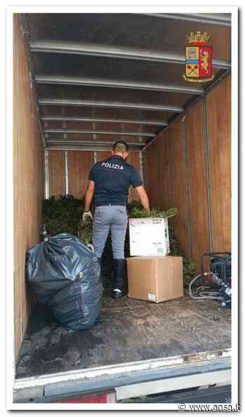 Mezza tonnellata di marijuana nel furgone, un arresto e un fermo - Agenzia ANSA