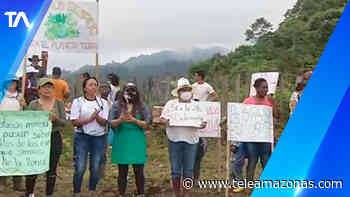 Comuneros denuncian tala de árboles y contaminación - Teleamazonas