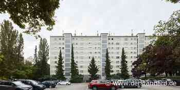 Pro Holz Student Trophy: Bebauung für Ottakringer Parkplatz gesucht - DER STANDARD