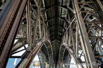 Chemnitz: Die Retter des Grauen Wunders - Sächsische.de