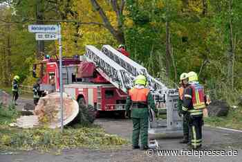 Schloßteichinsel in Chemnitz bleibt wegen Sturmschäden gesperrt - Freie Presse