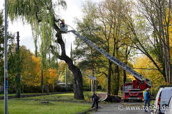 Zahlreiche Schäden und drei Verletzte nach Sturmtief in Chemnitz und Umgebung - TAG24