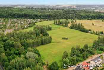 Investor will Grünfläche am Crimmitschauer Wald bebauen - Freie Presse
