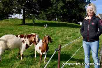 Niederfrohnaerin darf Wiese für ihre Ziegen nicht mehr nutzen - Freie Presse