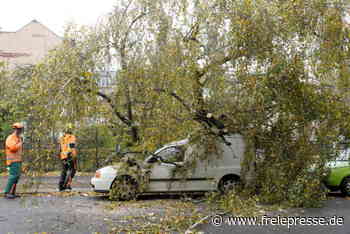 Sturm über Chemnitz: Mehr als 100 Feuerwehreinsätze - Freie Presse
