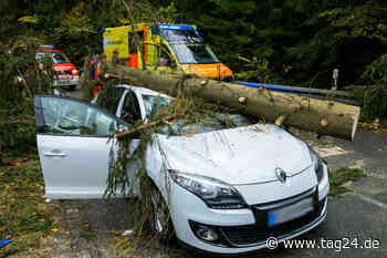 Heftige Sturmböen und Kälte-Schock in Chemnitz: Temperaturen stürzen dramatisch ab - TAG24