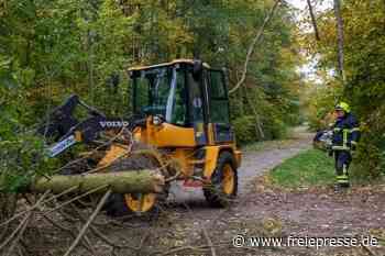 Heftige Sturmböen halten Feuerwehrleute auf Trab - Freie Presse