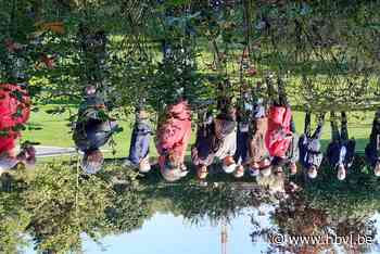 Landelijke Gilde maakt tuinen klaar voor de winter - Het Belang van Limburg