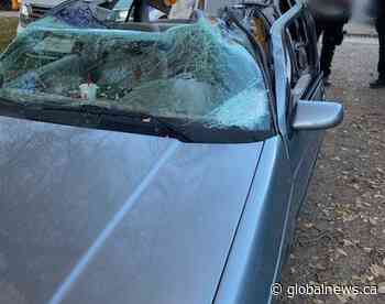 Meadow Lake, Sask. woman pulled over for intoxication while driving car with no roof