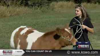 FFA 4-H Friend of the Week: Bethany Dutton - KSWO