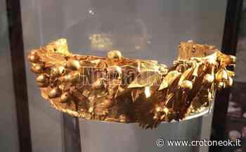 Crotone - Al Museo di via Risorgimento un progetto sull'animalità - CrotoneOK.it