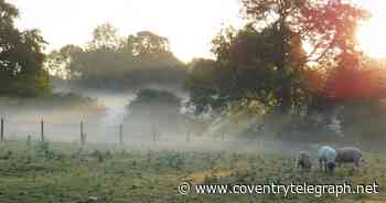 Plan to build 150 homes on former farm in Coventry approved - Coventry Live