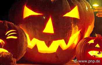 Kinderschutzbund öffnet wieder seine Pforten - Plattling - Passauer Neue Presse