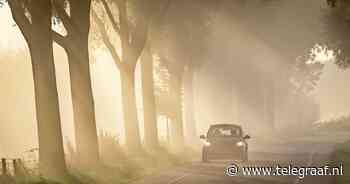 Code geel vanwege mist in nacht en vrijdagochtend - Telegraaf.nl