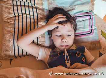 Viral respiratory infection cases rise in Dudley children - Halesowen News