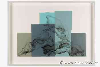 Roa in het klein: beroemde muurkunstenaar exposeert nog eens in Vlaanderen