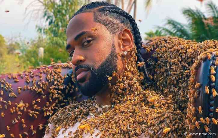 Big Sean gets cloaked in 65,000 bees in music video for new single ‘What A Life’