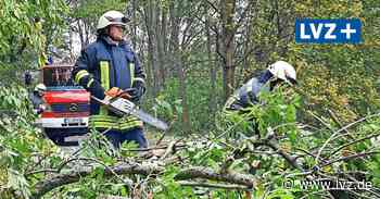 Sturm richtet in Bad Düben, Delitzsch, Eilenburg und in der Region Oschatz Schäden an - Leipziger Volkszeitung