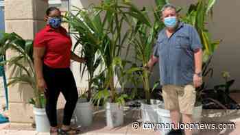 Gardener donates fruit trees to Pedro St James | Loop Cayman Islands - Loop News Cayman
