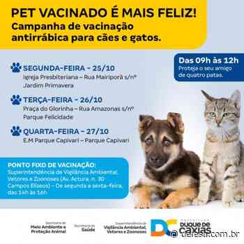 CAMPANHA DE VACINAÇÃO ANTIRRÁBICA CHEGA AOS BAIRROS PARQUE CAPIVARI, PARQUE FELICIDADE E JARDIM PRIMAVERA - Defesa - Defesa - Agência de Notícias