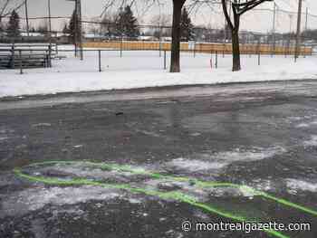 Accused Laval teen seemed traumatized upon realizing victim had been stabbed, witness says - Montreal Gazette