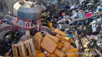 Prato: distrutte due tonnellate di prodotti alimentari irregolari / FOTO - FirenzeToday