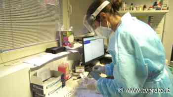 Bollettino Covid, una vittima e 18 nuovi positivi a Prato - tvprato.it