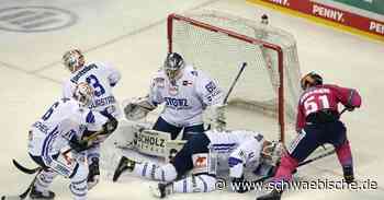 Wild Wings siegen gegen Berlin | schwäbische - Schwäbische