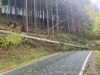 Sturm-Ticker: Feuerwehren ziehen Bilanz - Baum kippt auf Kapelle - Siegener Zeitung