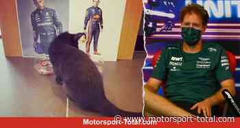 Formel-1-Liveticker: Aston Martin rechnet 2023 mit ersten Siegen - Motorsport-Total.com