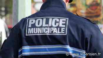 Nice : le chef de la police municipale, soupçonné d’avoir touché un salaire indû, visé par une enquête et suspendu - Le Parisien