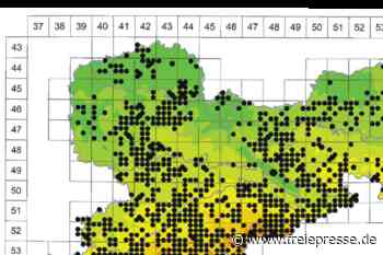 Pilzatlas: Liebeserklärung auf 1720 Seiten - Freie Presse