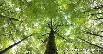Telekom treibt Netzausbau in Bamberg voran