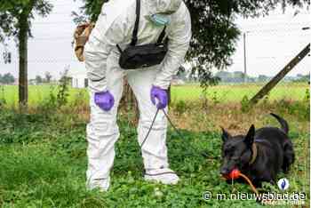 Eerste zedenhond van federale politie kan sperma lokaliseren: “Zennah ruikt stalen tot tien dagen na misdrijf” - Het Nieuwsblad