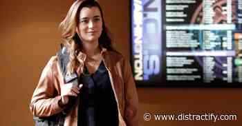 Why Did Cote de Pablo Leave NCIS? - Distractify