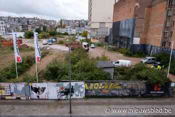 BUURTREPORTAGE. De Pelikaanstraat, een straat op sterven na dood