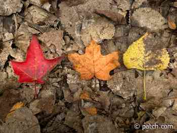 Fall Foliage Map: Rhode Island Approaches 2021 Peak - Patch.com