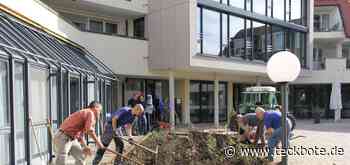 Statt Steinen gibt‘s jetzt Stauden - Kirchheimer Umland - Teckbote Online