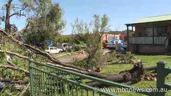 ACCELERATED PROCESS FOR HOMES DAMAGED BY ARMIDALE TORNADO - NBN News
