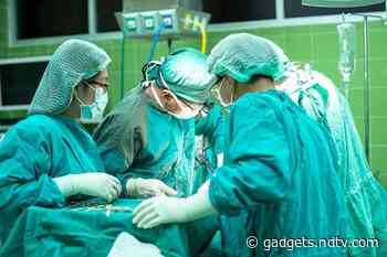 In Transplant Breakthrough, Pig Kidney Attached to Human Successfully