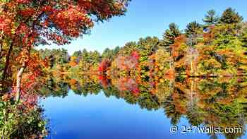 Net zero pledges and the fire next door; plus Biden’s COP26 army - 24/7 Wall St.