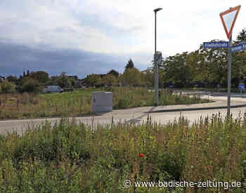 Investor für zwei Häuser gesucht - Breisach - Badische Zeitung