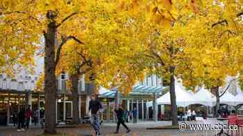 Falling for fall: Explore Canada amid its autumnal colours