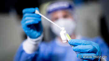 Corona im Havelland: Nach starkem Anstieg – Inzidenz zwischen Falkensee und Rathenow sinkt leicht - moz.de