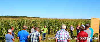 Feldtag für Landwirte aus Gebieten mit höherer Nitratbelastung im Grundwasser - Traunsteiner Tagblatt