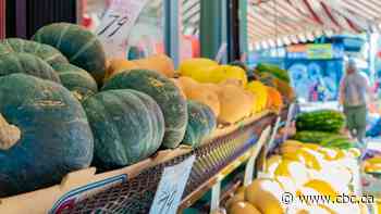 3 ways Canadians are cutting food costs — and why experts say those tactics won't ultimately fix hunger