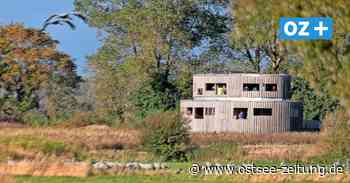 MV: Kraniche sehen - Beste Orte bei Rügen, Stralsund und Zingst - Ostsee Zeitung