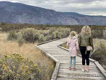 Family travel: Fall fun for families in Oliver and Osoyoos wine country - Calgary Herald